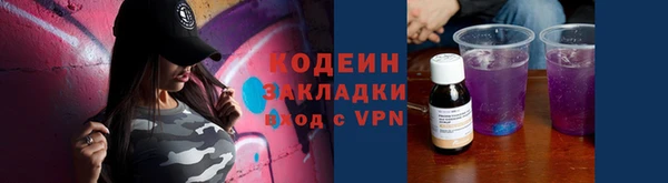 прущие грибы Балабаново