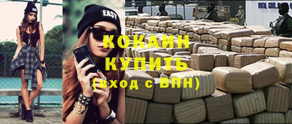 прущие грибы Балабаново