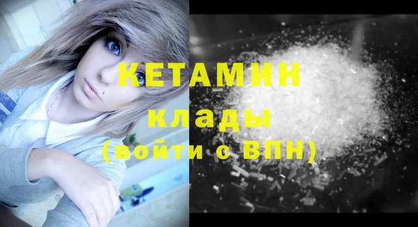 прущие грибы Балабаново