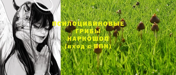 винт Балахна