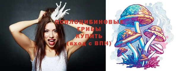 винт Балахна