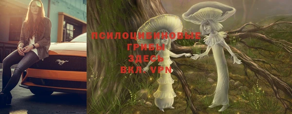 винт Балахна
