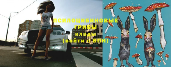 винт Балахна